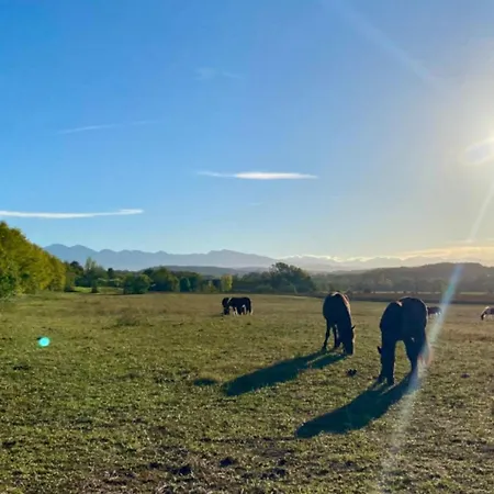 Mobil-home Confortable Avec Terrasse Au Calme - Api-1-52-915